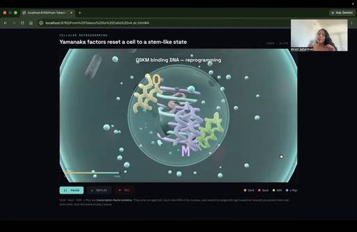 Keyframe 5 at 1:17