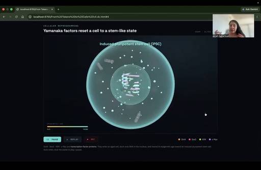 Keyframe 7 at 2:17